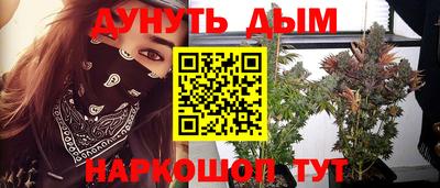 крисы Аргун