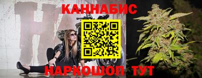 крисы Аргун