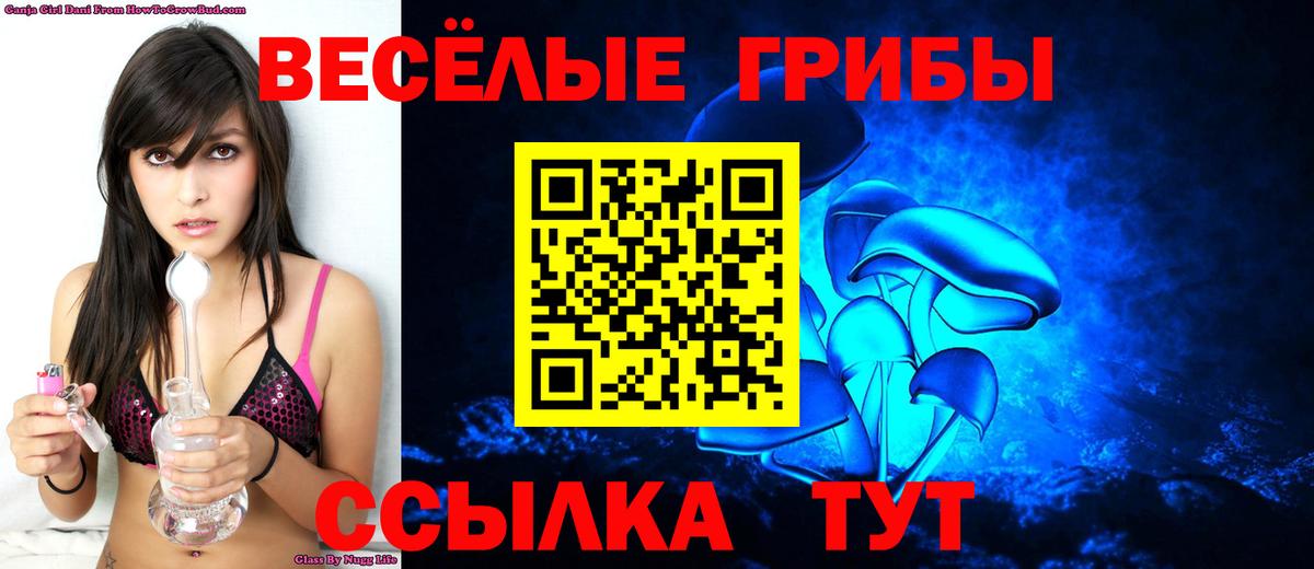 Галлюциногенные грибы Psilocybine cubensis Кирово-Чепецк