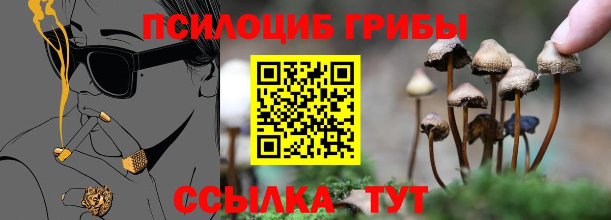 Псилоцибиновые грибы Magic Shrooms  Кирово-Чепецк  Псилоцибиновые грибы прущие грибы 